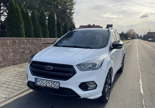 ford wielkopolskie Ford Kuga cena 69799 przebieg: 118300, rok produkcji 2019 z Mszczonów